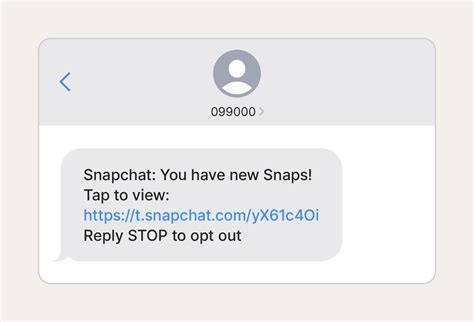 fake snap geld|10 Snapchat scams and how to prevent them [2024]